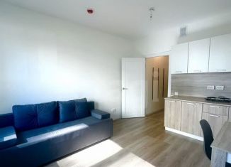 Аренда квартиры студии, 20.3 м2, Санкт-Петербург, Пахомовская улица, 14к1, метро Академическая
