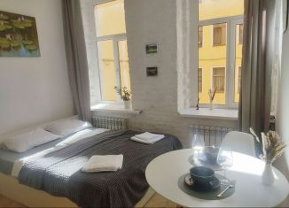 Аренда квартиры студии, 19 м2, Санкт-Петербург, Невский проспект, 134А