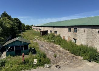 Продается помещение свободного назначения, 2183 м2, Вяземский, улица Лазо, 102