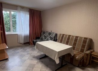 Однокомнатная квартира на продажу, 30 м2, Санкт-Петербург, улица Лётчика Пилютова, 5, Красносельский район