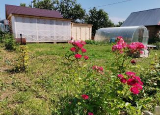 Продается дача, 30 м2, Татарстан, садоводческое некоммерческое товарищество Дружба-1, 14