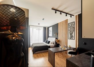 Продается квартира студия, 23.2 м2, посёлок Парголово, Толубеевский проезд, 8к2