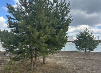 Продается земельный участок, 10 сот., деревня Устье