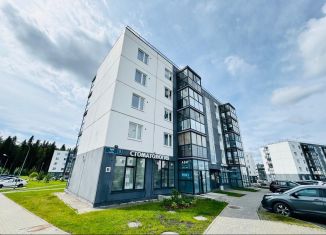 Продажа квартиры студии, 34 м2, Карелия, Чистая улица, 9
