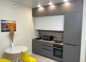 Сдается квартира студия, 27 м2, Республика Башкортостан, улица Асхата Мирзагитова, 12