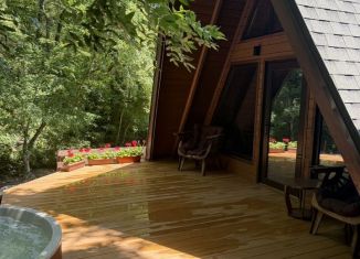 Сдача в аренду дома, 54 м2, село Мысхако, Затяжная улица, 61