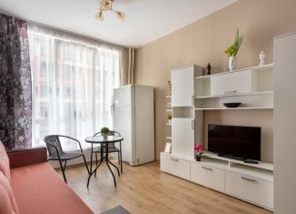 Продается квартира студия, 22.6 м2, посёлок Парголово, Толубеевский проезд, 8к2