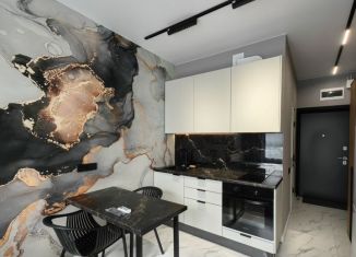 Сдача в аренду квартиры студии, 20 м2, Люберцы, Шоссейная улица, 42