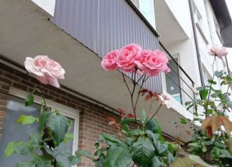 Продается 1-комнатная квартира, 32 м2, Краснодар, Цветная улица, 41, микрорайон Сады Калинина