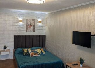 Сдача в аренду 1-комнатной квартиры, 30 м2, Пенза, улица Карпинского, 44, Ленинский район