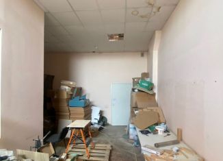 Сдам в аренду склад, 32 м2, Санкт-Петербург, улица Новосёлов, 49, муниципальный округ Народный