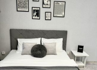 Сдача в аренду квартиры студии, 25 м2, Оренбург, улица Поляничко, ЖК Акварель