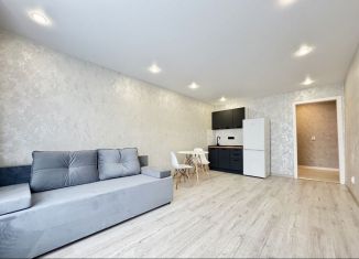 Продажа квартиры студии, 29 м2, Казань, улица Рихарда Зорге, 24