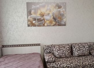 Сдам 1-комнатную квартиру, 33 м2, Оренбургская область, Комсомольская улица, 1/1