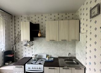 Продается 1-комнатная квартира, 30.9 м2, Серов, улица Заславского