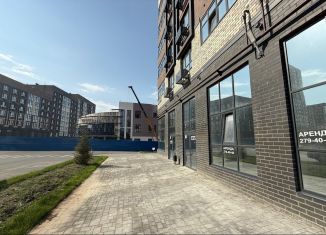 Сдается помещение свободного назначения, 56.9 м2, Ростов-на-Дону, проспект 40-летия Победы, 111/1с1, Пролетарский район