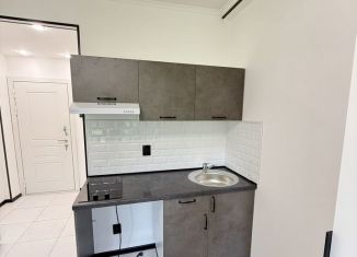 Продается квартира студия, 17 м2, Санкт-Петербург, 1-й Рабфаковский переулок, 7, метро Пролетарская