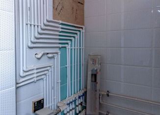 Продается дом, 174.4 м2, Санкт-Петербург, 24-я дорожка, 33/13