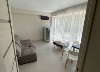 Однокомнатная квартира на продажу, 35 м2, Сочи, улица Плеханова, 53/14А, микрорайон Мамайка