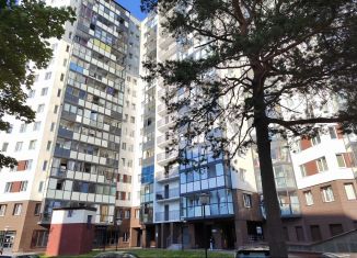 Сдаю в аренду квартиру студию, 25.1 м2, Сертолово, Парковый проезд, 5