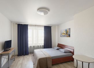 Сдача в аренду однокомнатной квартиры, 40 м2, Курган, улица Пичугина, 6