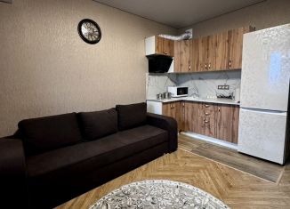 Сдается в аренду квартира студия, 28 м2, Ростов-на-Дону, 2-й Атмосферный переулок, 4