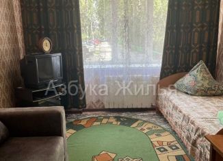 Сдаю 1-ком. квартиру, 21 м2, Гусь-Хрустальный, Теплицкий проспект, 2