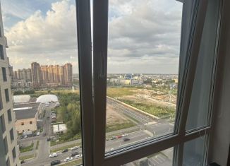 Продается квартира студия, 22.1 м2, посёлок Парголово, Толубеевский проезд, 8к2