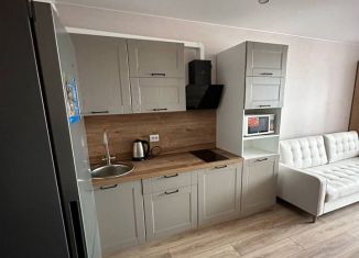 Сдам в аренду квартиру студию, 23.1 м2, Ломоносов, Михайловская улица, 51