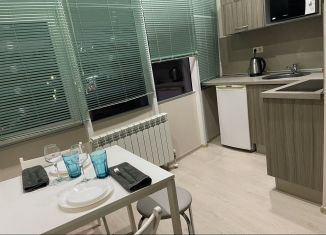 Сдача в аренду квартиры студии, 30 м2, Сочи, Депутатская улица, 9, микрорайон Светлана