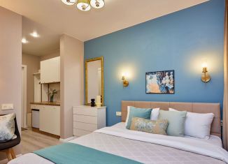 Сдам в аренду квартиру студию, 17 м2, Санкт-Петербург, улица Союза Печатников, 3