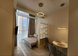 Квартира в аренду студия, 25 м2, Сочи, Дагомысский переулок, 18к4, микрорайон Ареда