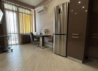 Сдам 1-ком. квартиру, 45 м2, Сочи, Гвардейская улица, 34, микрорайон Центральный