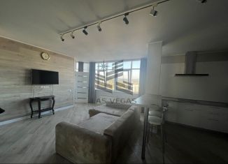 Аренда 3-комнатной квартиры, 95 м2, Сочи, Виноградная улица, 2Б, микрорайон Гагарина