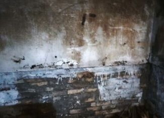 Сдаю машиноместо, Бийск, улица Спекова, 9/2