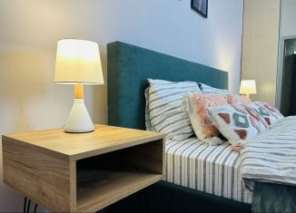 Сдаю в аренду двухкомнатную квартиру, 70 м2, Санкт-Петербург, Ленинский проспект, 114, ЖК Монплезир