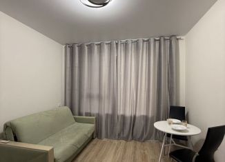 Сдается в аренду квартира студия, 20 м2, Зеленоград, улица Александровка, 6