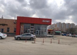 Сдам помещение свободного назначения, 60 м2, Тула, улица Павшинский Мост, 4