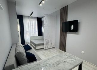 Продается квартира студия, 25.8 м2, Республика Башкортостан, улица Менделеева, 137