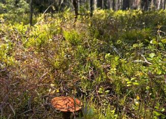 Продаю земельный участок, 11 сот., Полянское сельское поселение