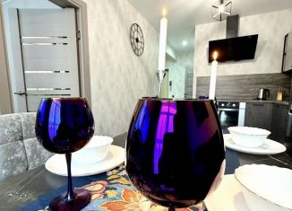 Аренда 2-комнатной квартиры, 70 м2, Сочи, Дагомысский переулок, 18, микрорайон Ареда