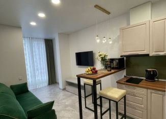 Сдам квартиру студию, 48 м2, Сочи, переулок Трунова, 6к6, микрорайон Завокзальный