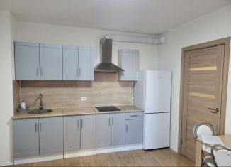 Сдается в аренду однокомнатная квартира, 37 м2, Санкт-Петербург, улица Дыбенко, 7к1, ЖК Цивилизация