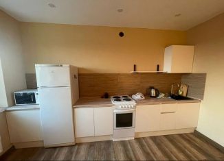 Сдается 1-комнатная квартира, 31.2 м2, поселок городского типа Стройкерамика, улица Николая Симонова, 13