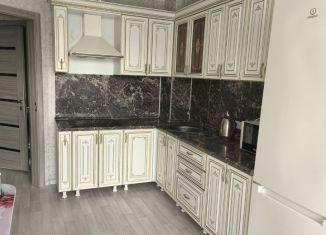 Сдается 1-ком. квартира, 40 м2, Ростов-на-Дону, Горсоветская улица, 57Б