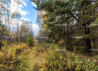 Продаю участок, 25 сот., деревня Шульгино, Лесная улица