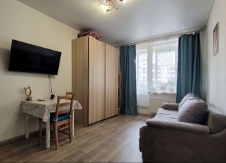 Продам квартиру студию, 23.4 м2, Кудрово, Пражская улица, 7, ЖК Вернисаж