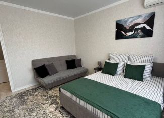 Аренда 1-комнатной квартиры, 45 м2, Элиста, улица Аккочкарова, 31