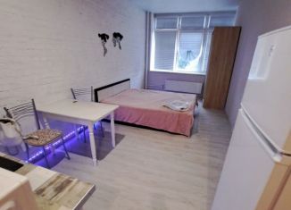 Квартира в аренду студия, 28 м2, Химки, Береговая улица, 4, ЖК Берег