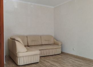 Сдается 1-ком. квартира, 35 м2, поселок городского типа Стройкерамика, улица Веры Ершовой, 8